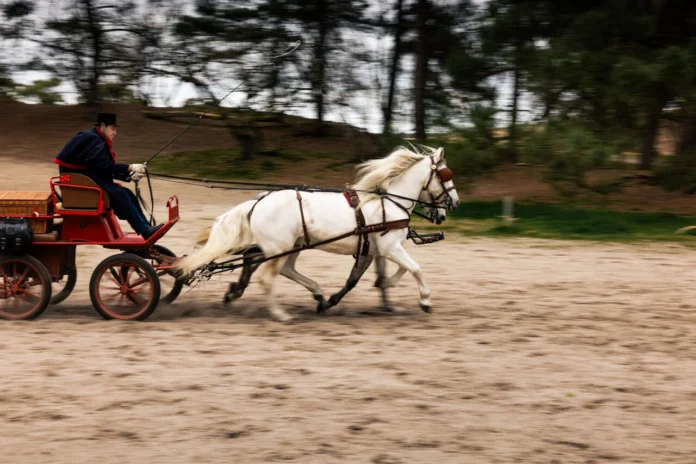 Foto: Björn Snelders – Brabanter Partner
